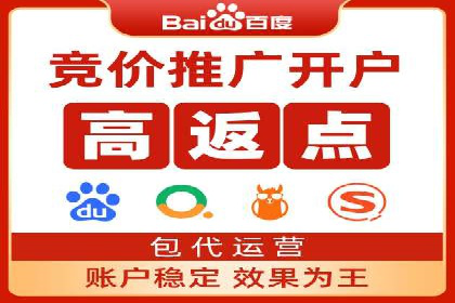 揭秘百度竞价代理：实战案例分析