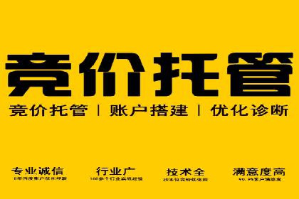 某知名品牌sem账户托管的成功秘诀